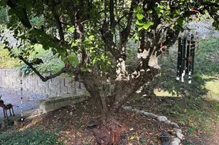 38 Old Manchester Rd, Amherst, NH 03031 - Photo 48