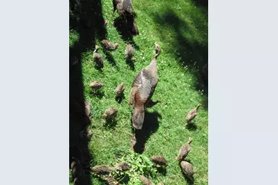 7 Turkey Ridge Road, Newmarket, NH 03857 - Photo 42