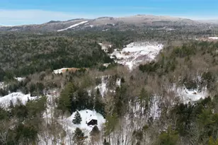 295 Cheever Rd, Wentworth, NH 03282 - Photo 42