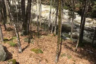 535 Beard Rd, Hillsboro, NH 03244 - Photo 58