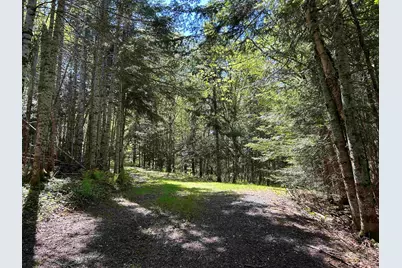242 Noyes Road, Stewartstown, NH 03576 - Photo 4