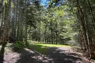 242 Noyes Rd, Stewartstown, NH 03576 - Photo 4