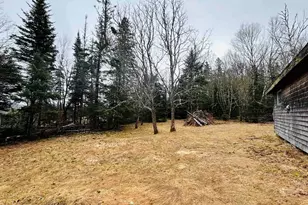 242 Noyes Rd, Stewartstown, NH 03576 - Photo 16