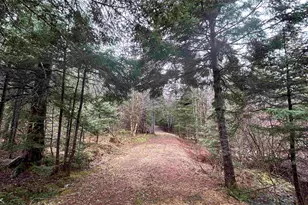 242 Noyes Rd, Stewartstown, NH 03576 - Photo 12