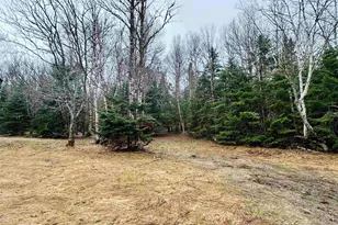 242 Noyes Rd, Stewartstown, NH 03576 - Photo 8