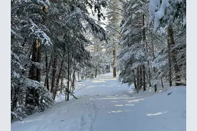 242 Noyes Road, Stewartstown, NH 03576 - Photo 4