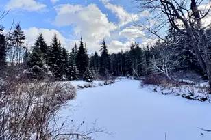 14 Fox Run Rd, Wilmot, NH 03287 - Photo 36