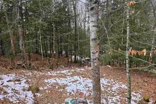 234 Old Cheshire Turnpike, Walpole, NH 03608 - Photo 8