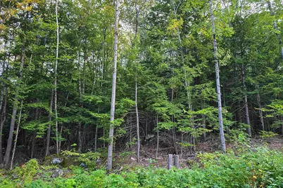 000 Page Hill Road, Tamworth, NH 03817 - Photo 20