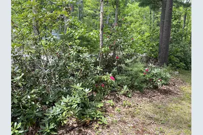 209 Mallego Road, Barrington, NH 03825 - Photo 46