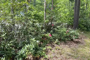 209 Mallego Rd, Barrington, NH 03825 - Photo 46