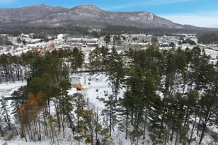 64 O&apos keefe Circle, Conway, NH 03860 - Photo 42