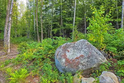 00 Page Hill Road, Tamworth, NH 03817 - Photo 14