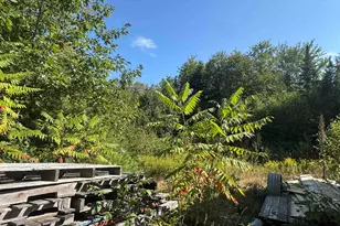 25 Simmons Dr, Warren, NH 03279 - Photo 12