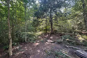 25 Simmons Dr, Warren, NH 03279 - Photo 8