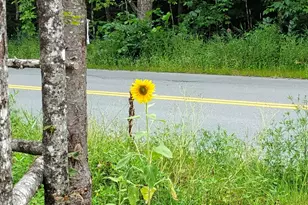 558 Lost Nation Rd, Lancaster, NH 03584 - Photo 24