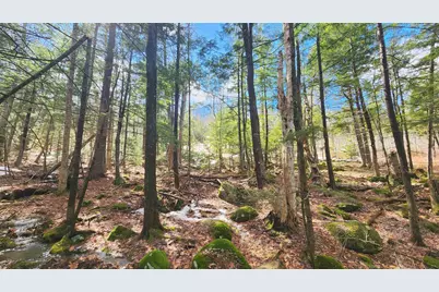 231 Valley Road, New Durham, NH 03855 - Photo 12