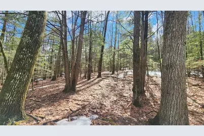 231 Valley Road, New Durham, NH 03855 - Photo 12
