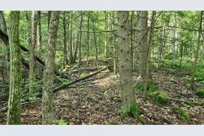 231 Valley Road, New Durham, NH 03855 - Photo 8