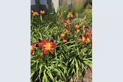 101 Wentworth Road, Walpole, NH 03608 - Photo 46