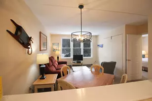 28 Packard Rd, Waterville Valley, NH 03215 - Photo 10