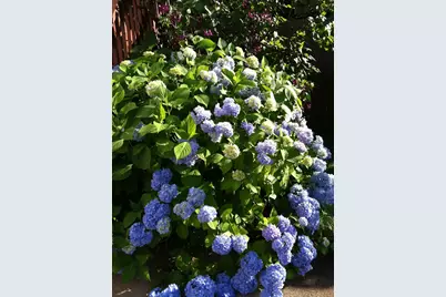 25 Robinhood Road, Nashua, NH 03062 - Photo 30