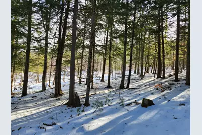 1 Munsey Hill Road #123-10-7, Gilmanton, NH 03237 - Photo 4