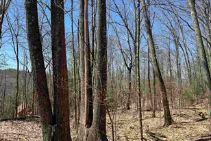 H16 Tobey Rd, Campton, NH 03223 - Photo 2