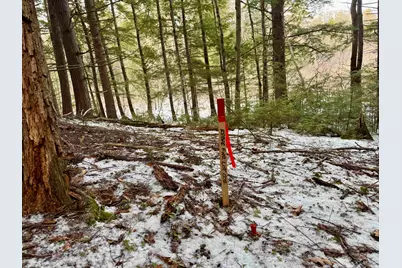 Map 9 Lot 87 Mary Rowe Drive, Hillsboro, NH 03244 - Photo 16