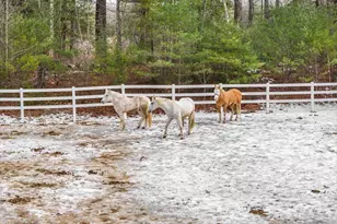 417 Candia Rd, Chester, NH 03036 - Photo 48