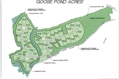 Lot 8 Strawbrook Lane, Canaan, NH 03741 - Photo 8