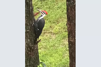 13 Ferry Road, Bow, NH 03304 - Photo 56