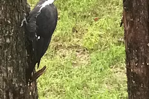 13 Ferry Rd, Bow, NH 03304 - Photo 56