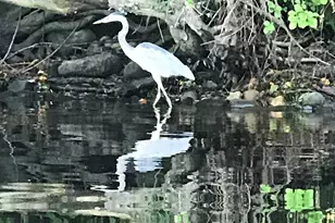 13 Ferry Rd, Bow, NH 03304 - Photo 54