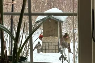 388 Western Ave, Henniker, NH 03242 - Photo 48