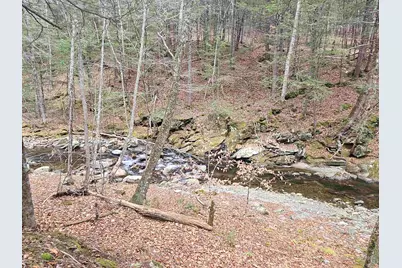 756 Turkey Mountain Road, Jamaica, VT 05343 - Photo 34