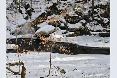 756 Turkey Mountain Road, Jamaica, VT 05343 - Photo 40