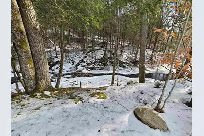 756 Turkey Mountain Road, Jamaica, VT 05343 - Photo 42