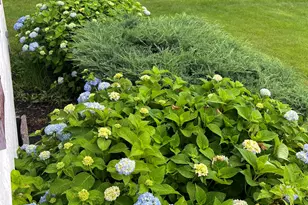 104 N Gate Rd, Manchester, NH 03104 - Photo 4