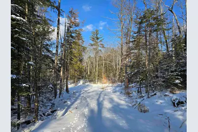 Tbd Stocker Pond Road #236-43, Grantham, NH 03753 - Photo 6