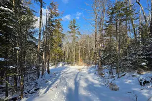 Tbd Stocker Pond Rd, Grantham, NH 03753 - Photo 6