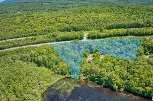 Tbd Stocker Pond Rd, Grantham, NH 03753 - Photo 10