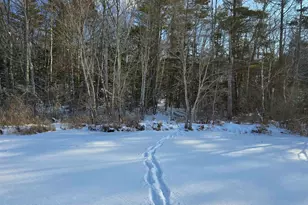 Tbd Stocker Pond Rd, Grantham, NH 03753 - Photo 4