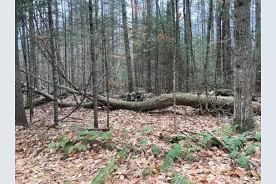 Blueberry Woods Drive, Canaan, NH 03741 - Photo 12
