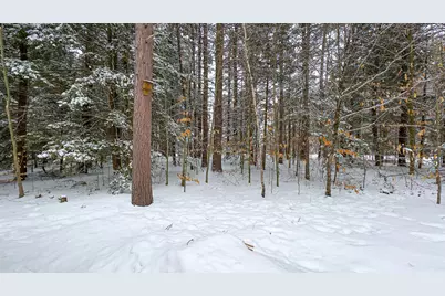 575 Allard Hill Road, Madison, NH 03849 - Photo 32