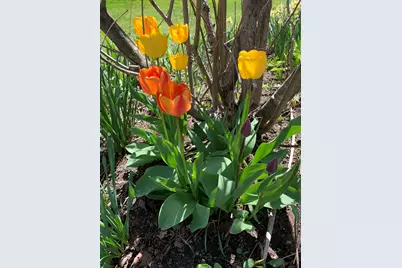 111 Main Street, New Ipswich, NH 03071 - Photo 10