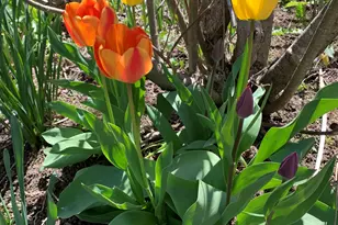 111 Main St, New Ipswich, NH 03071 - Photo 10