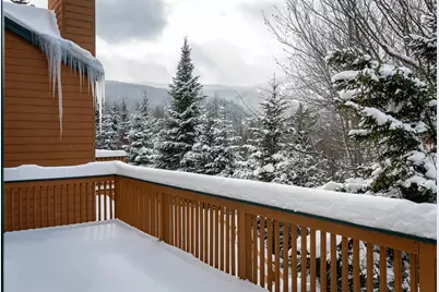 72 Appleby Close Road #41, Carroll, NH 03575 - Photo 4