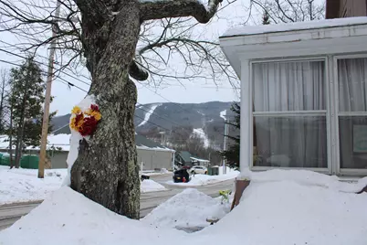13 Maple Street, Lincoln, NH 03251 - Photo 4