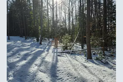 40 Cedar Drive #130-lot 11, Gilmanton, NH 03237 - Photo 4